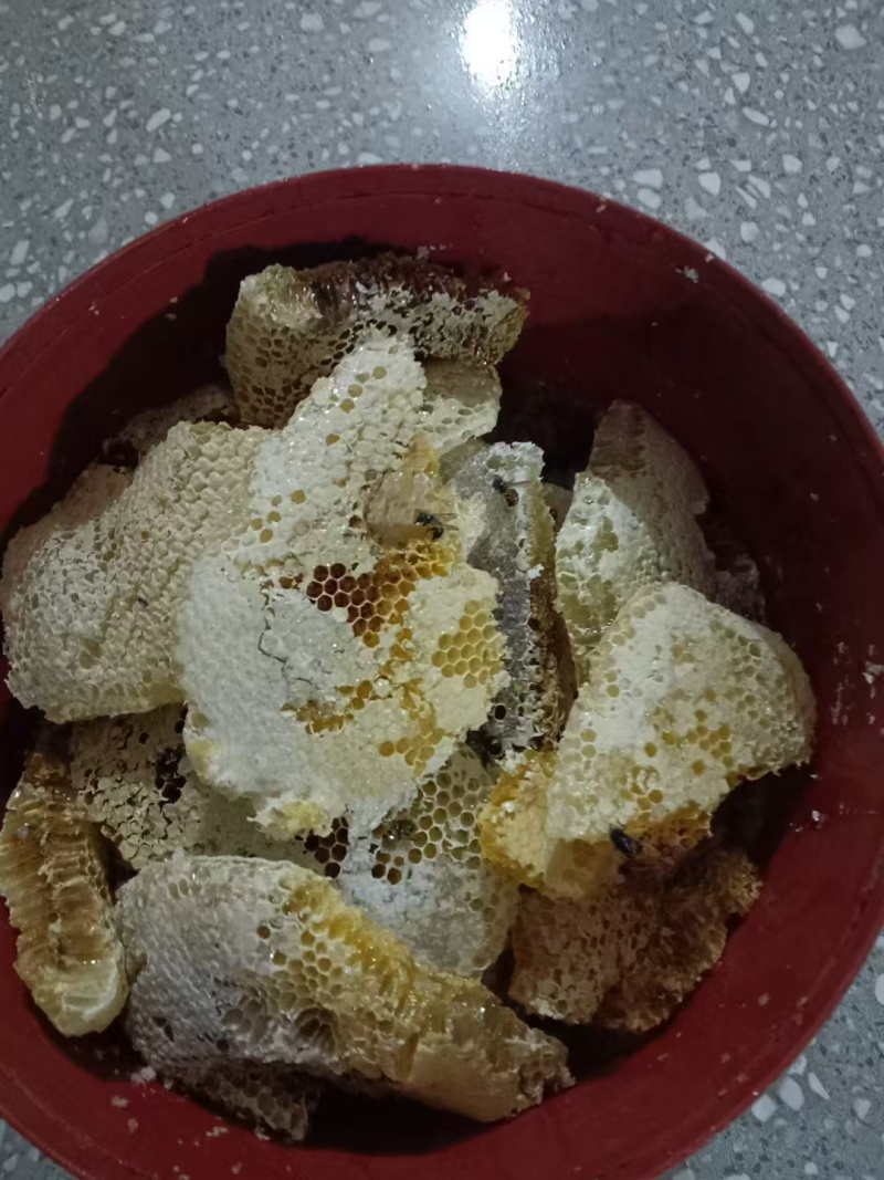 贵州百花蜜野生蜂蜜量大价优保质保量可视频看货