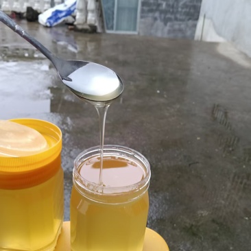 贵州百花蜜野生蜂蜜量大价优保质保量可视频看货
