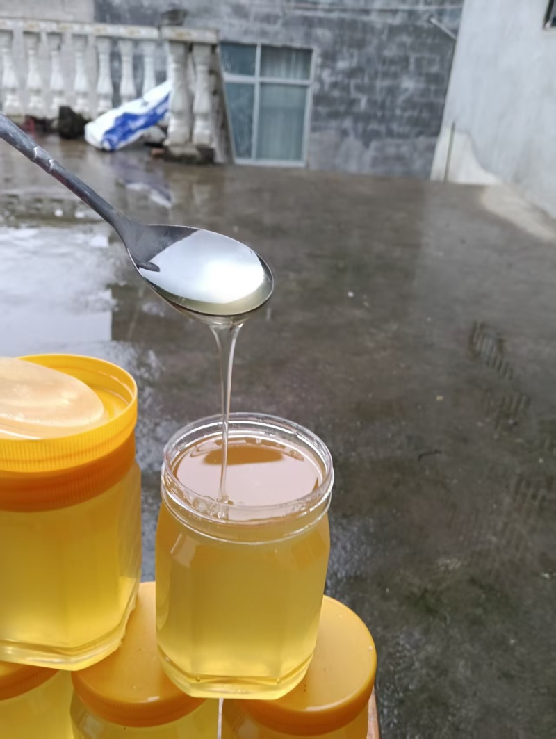 贵州百花蜜野生蜂蜜量大价优保质保量可视频看货