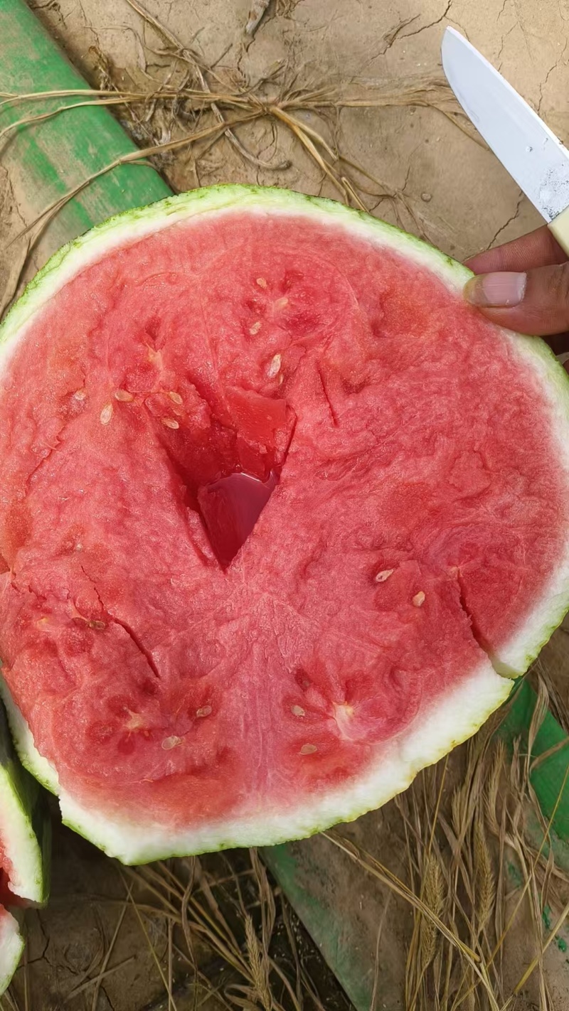 精品美都麒麟西瓜产地直销量大质优价格优惠一手货源