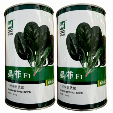 墨菲菠菜种子抗病耐热耐寒一代杂交圆叶400g基地品种