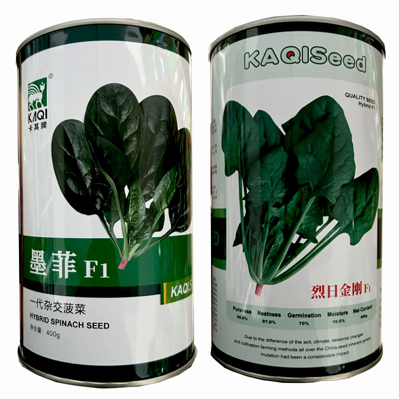 墨菲菠菜种子抗病耐热耐寒一代杂交圆叶400g基地品种