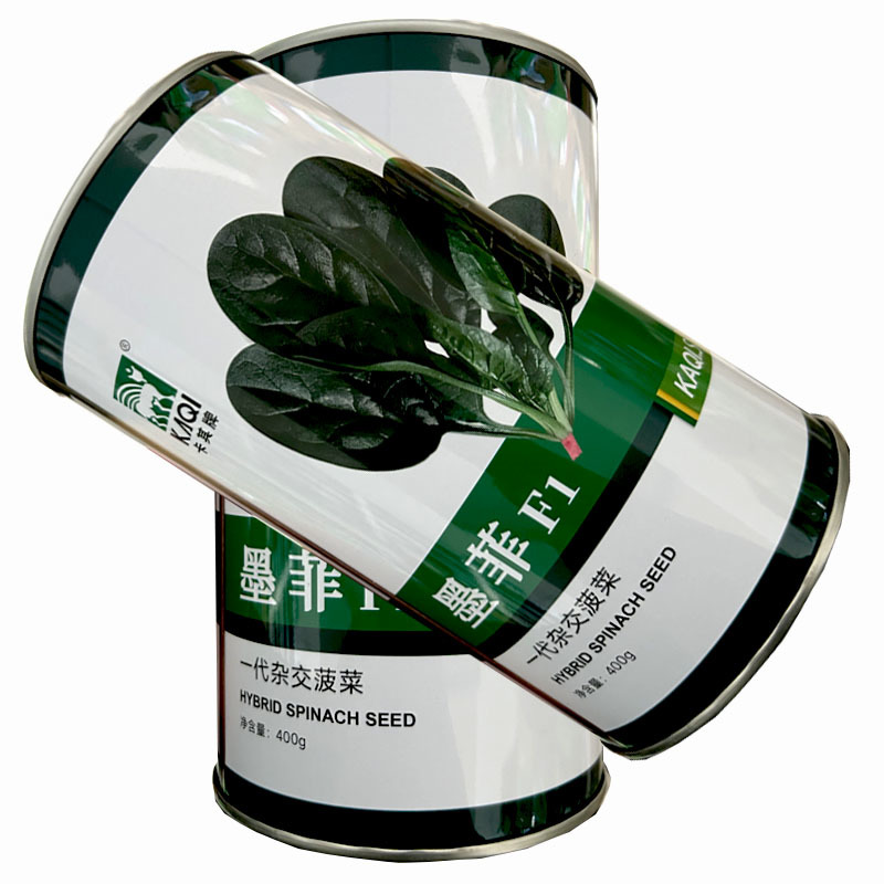 墨菲菠菜种子抗病耐热耐寒一代杂交圆叶400g基地品种