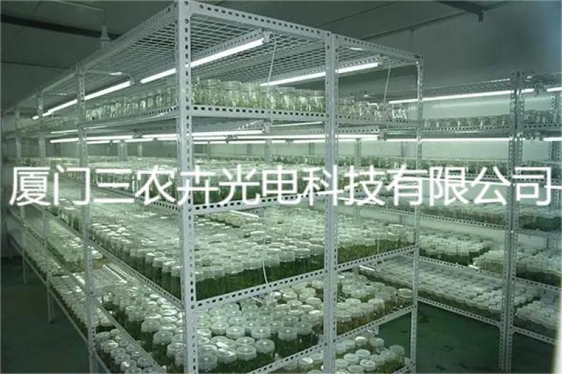 60cm-白芨育苗组培灯