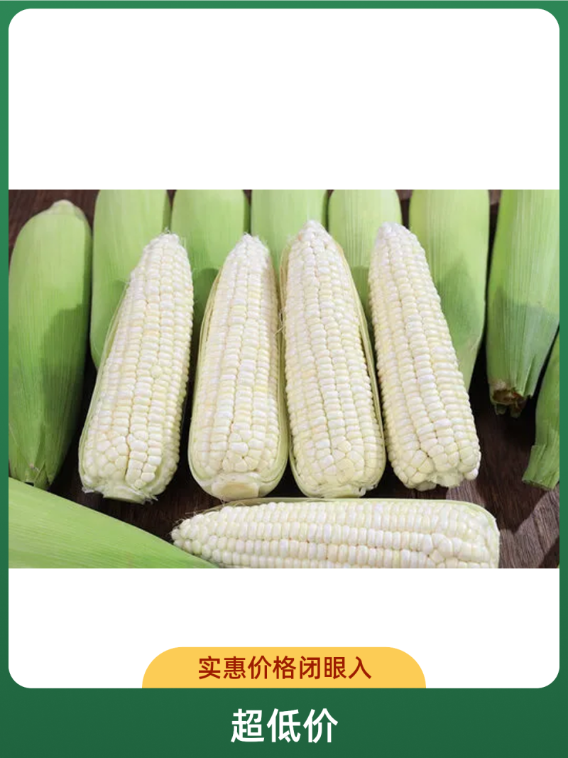 早餐玉米新鲜带皮甜糯玉米现摘现发当季蔬菜