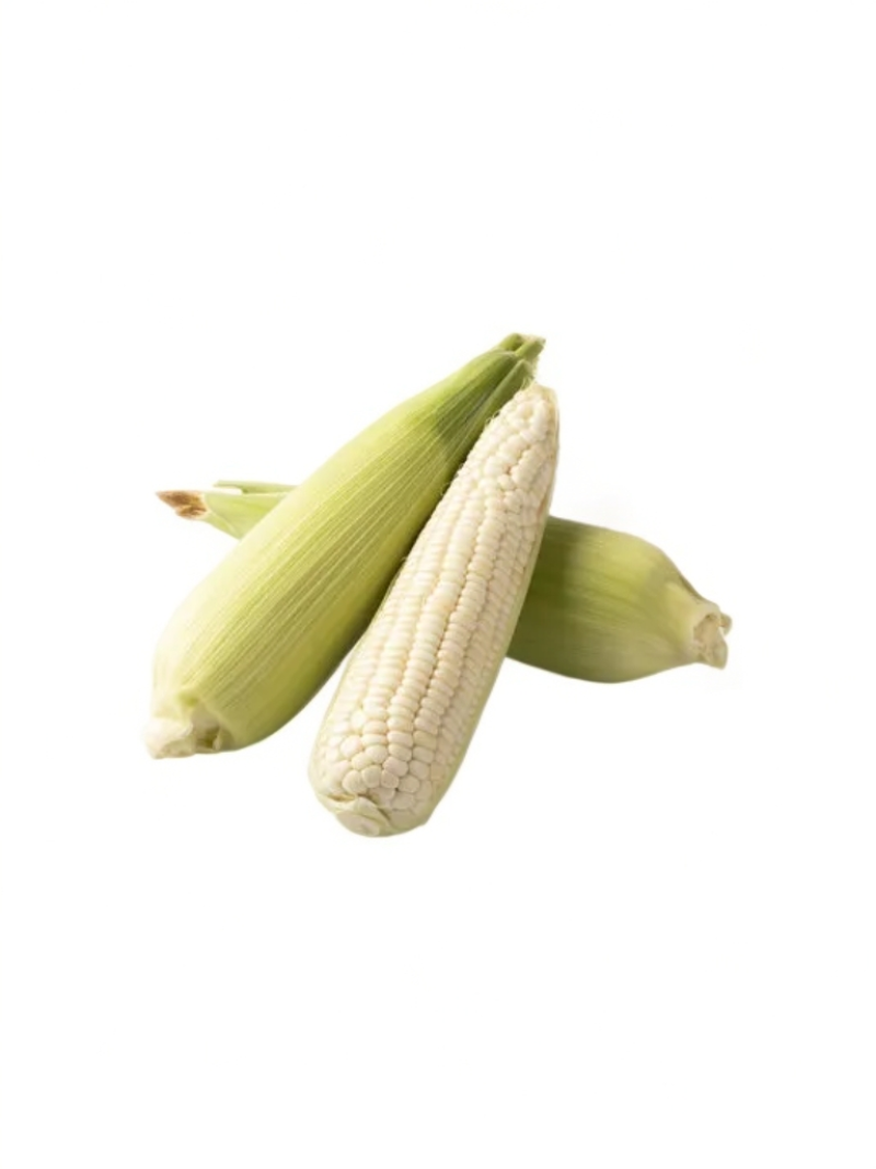 早餐玉米新鲜带皮甜糯玉米现摘现发当季蔬菜