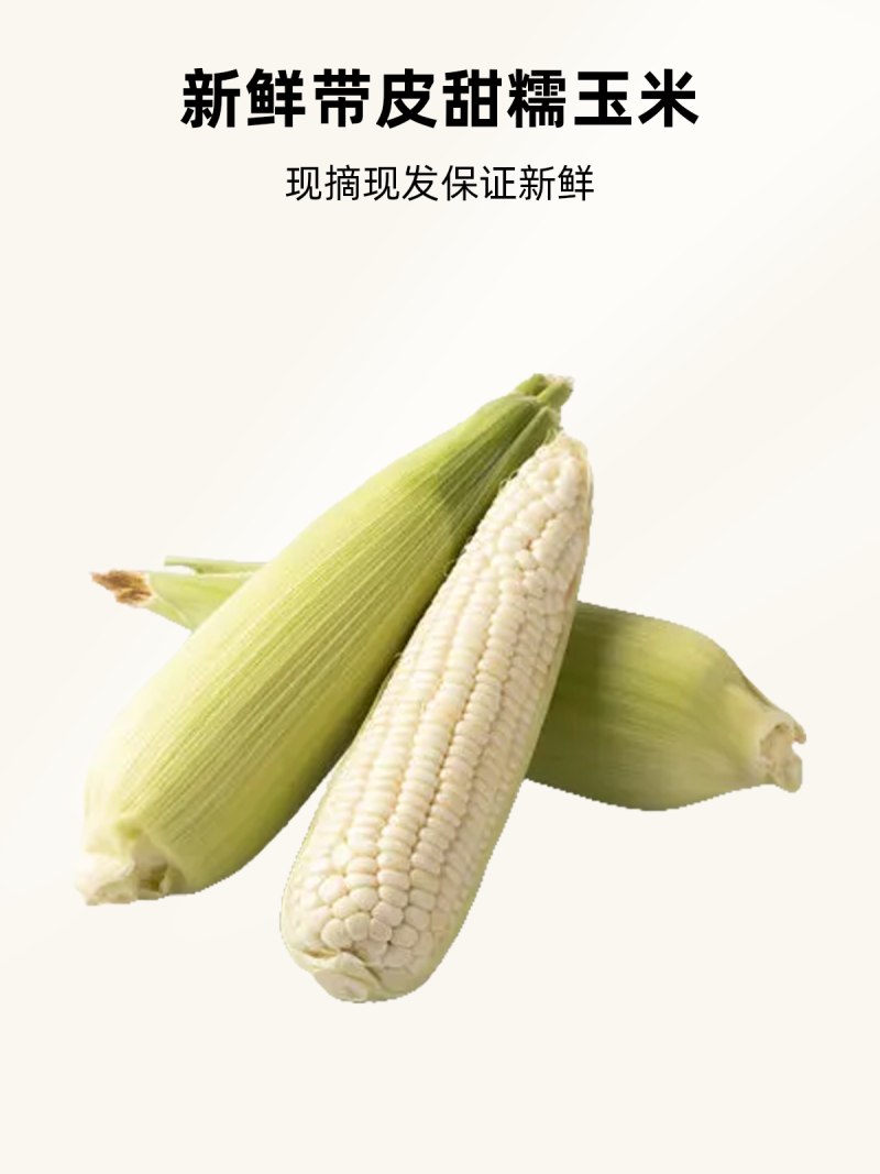 早餐玉米新鲜带皮甜糯玉米现摘现发当季蔬菜