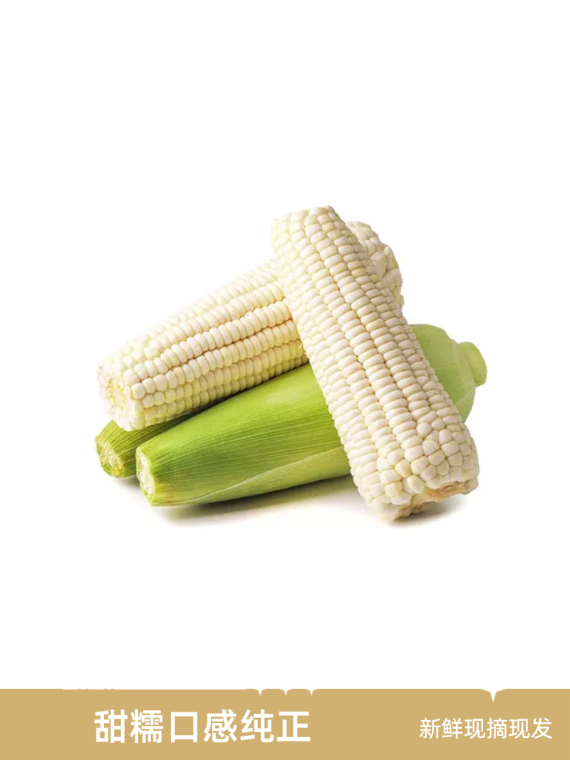 早餐玉米新鲜带皮甜糯玉米现摘现发当季蔬菜