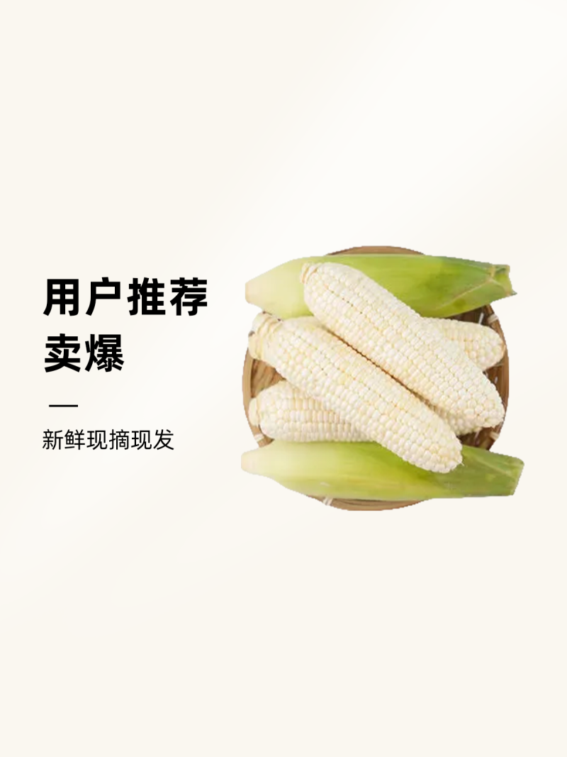 早餐玉米新鲜带皮甜糯玉米现摘现发当季蔬菜