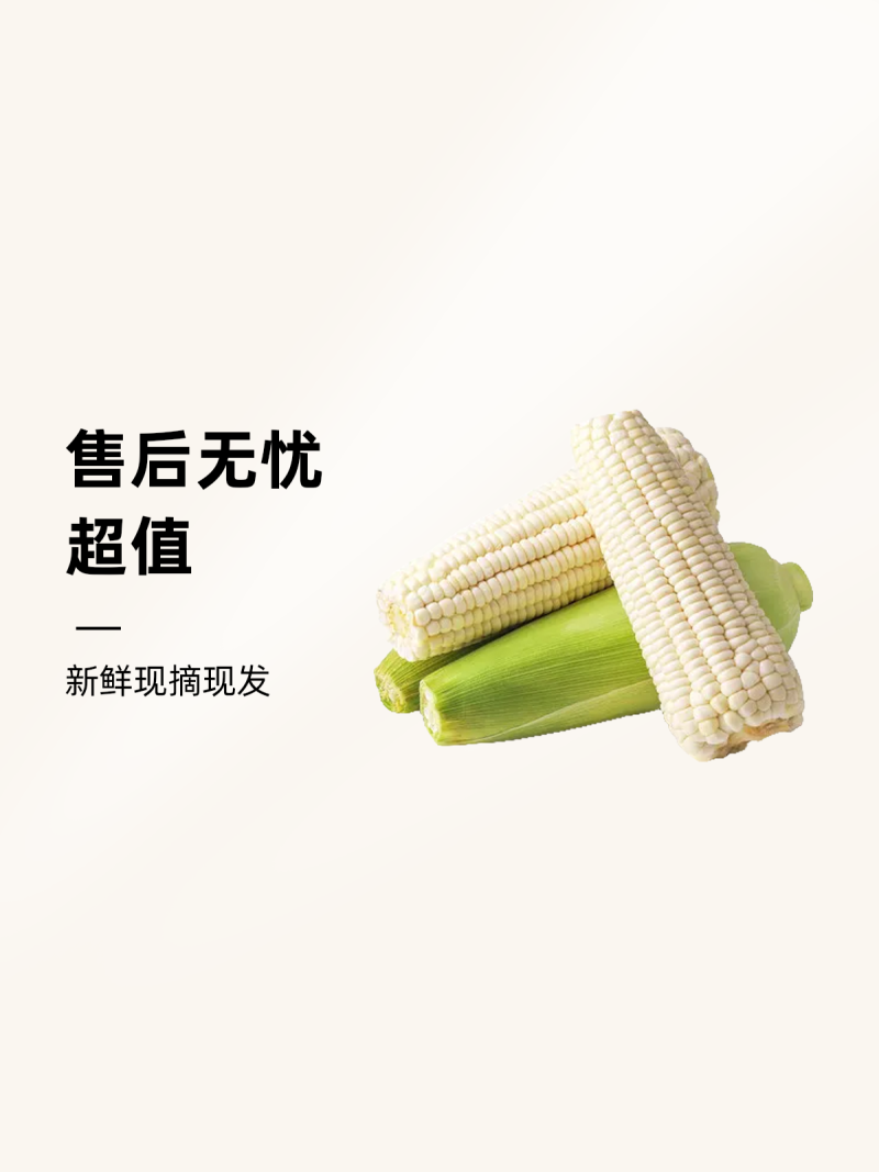 早餐玉米新鲜带皮甜糯玉米现摘现发当季蔬菜