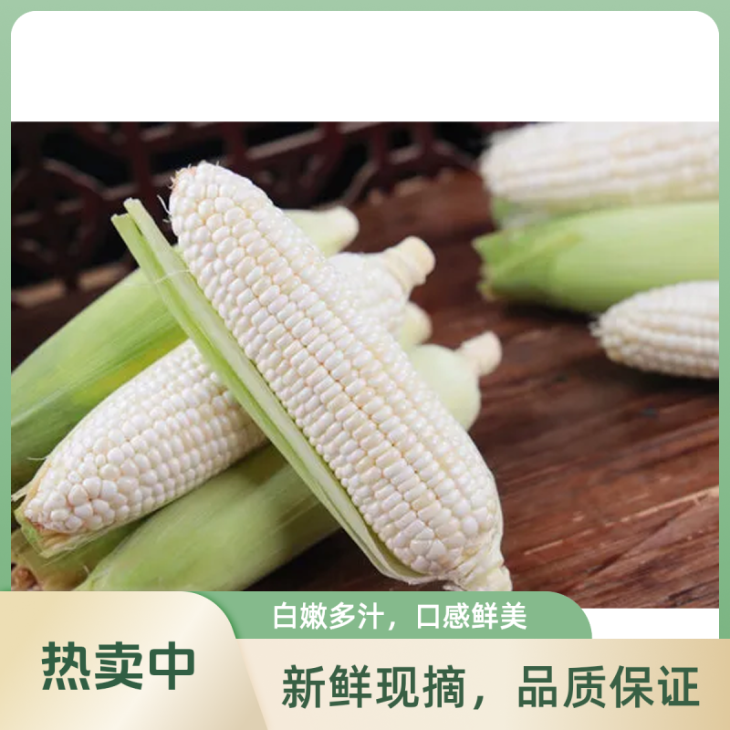 早餐玉米新鲜带皮甜糯玉米现摘现发当季蔬菜