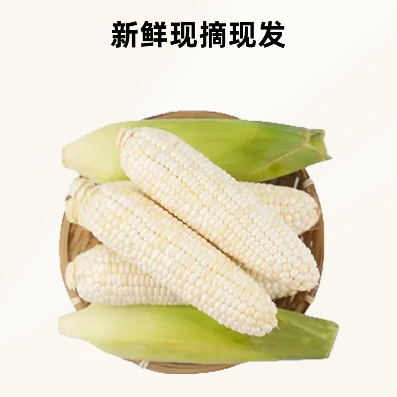 早餐玉米新鲜带皮甜糯玉米现摘现发当季蔬菜