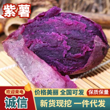 紫薯紫罗兰，二代小花叶，现已大量上市，支持一件代发。