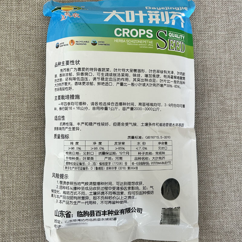 正宗大叶荆芥种子叶片肥厚香味浓郁叶片大基地专用