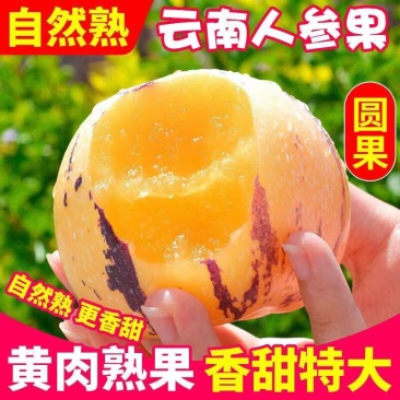 云南石林树熟人参果一件代发
