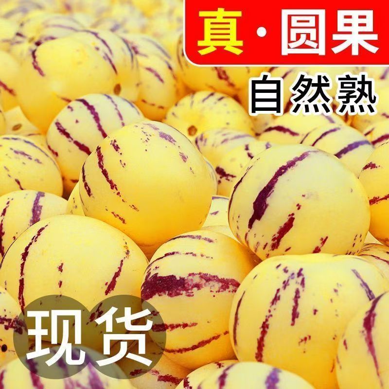 云南石林树熟人参果一件代发