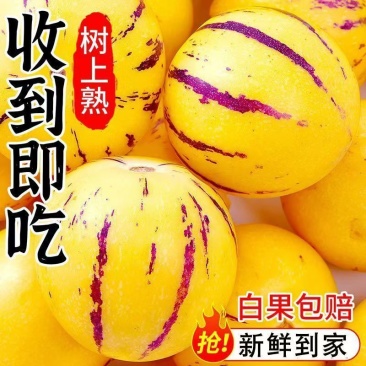 云南石林人参果一件代发