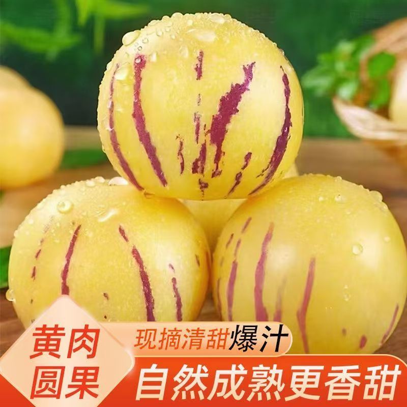 云南石林人参果一件代发