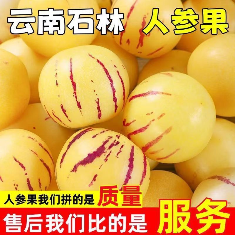 云南石林人参果一件代发