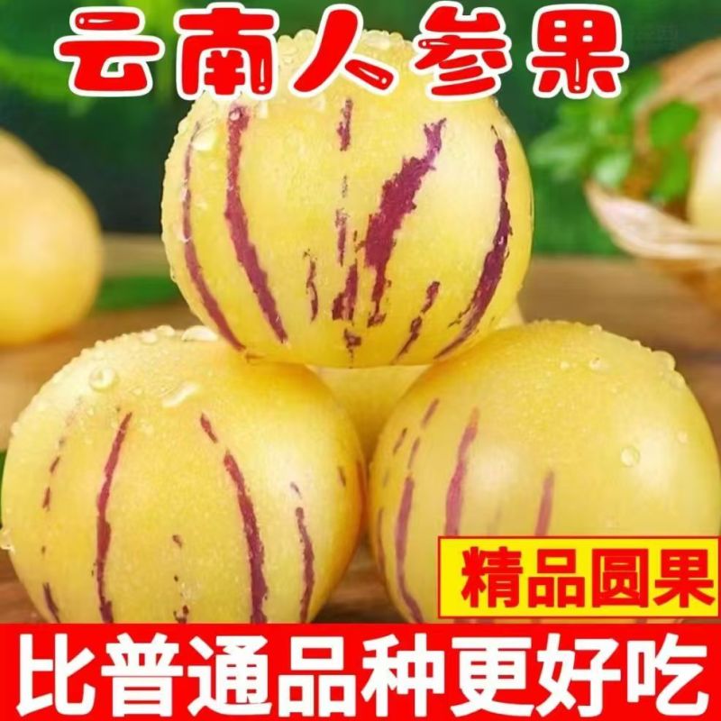 云南石林人参果一件代发