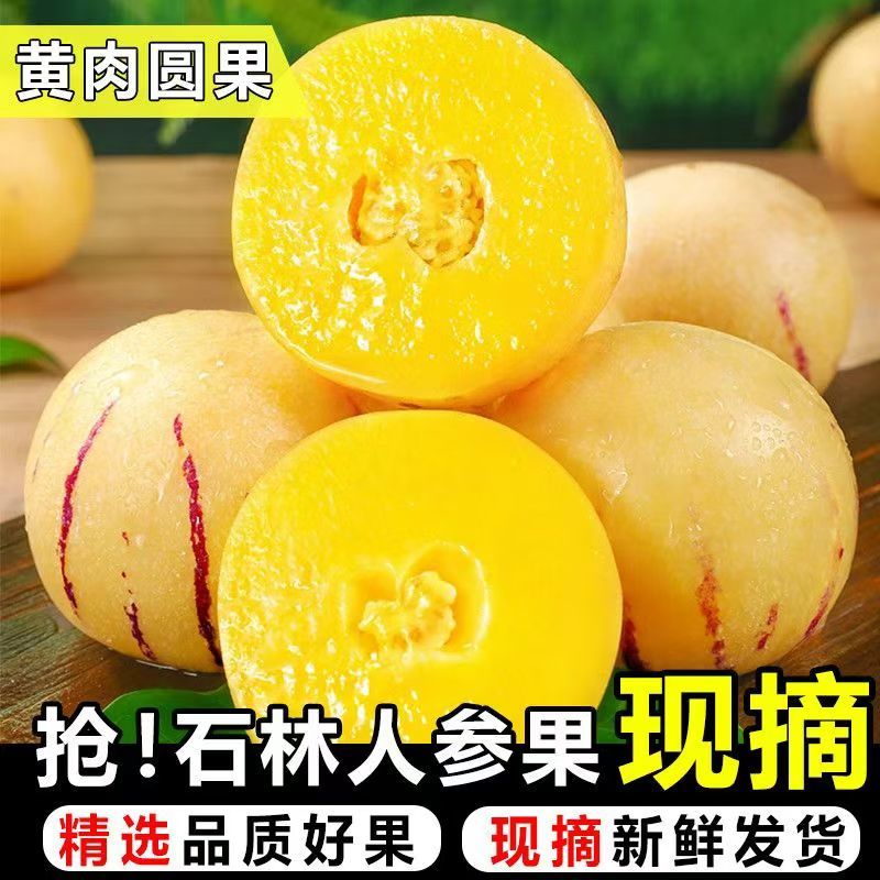 云南石林人参果一件代发