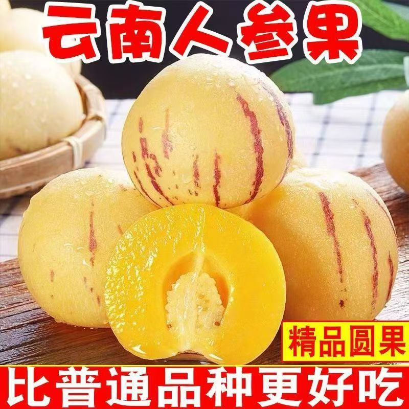 云南石林人参果一件代发