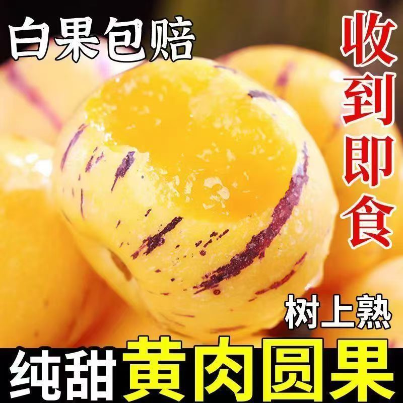 云南石林人参果一件代发