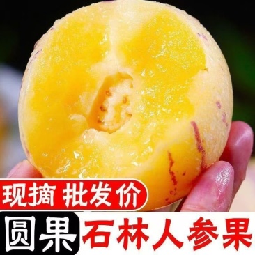云南石林圆形人参果一件代发