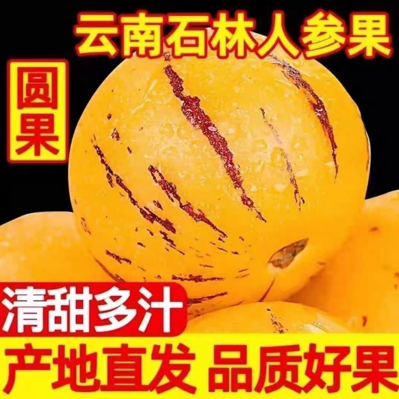 云南石林产地人参果一件代发