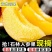 云南石林产地人参果一件代发