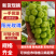 阳光玫瑰西昌市阳光玫瑰产地直发颗粒饱满口感香甜