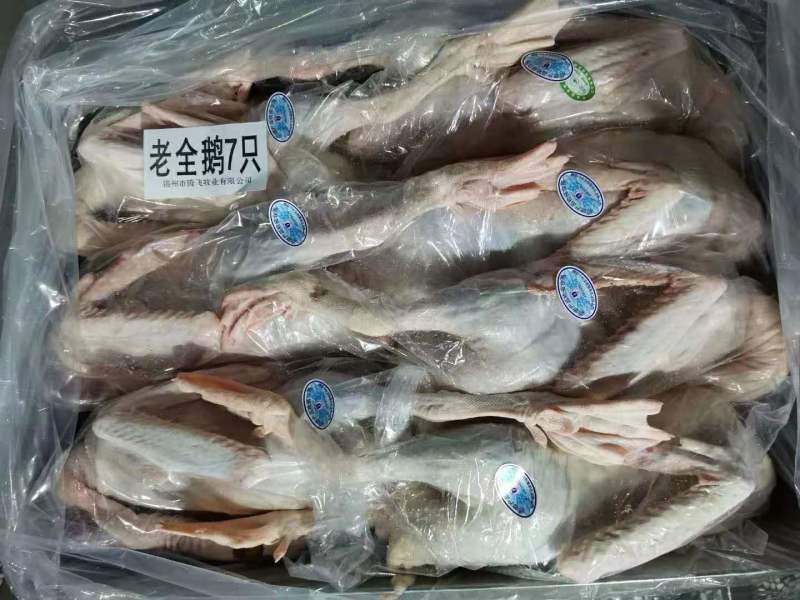 大帮老鹅净膛7只