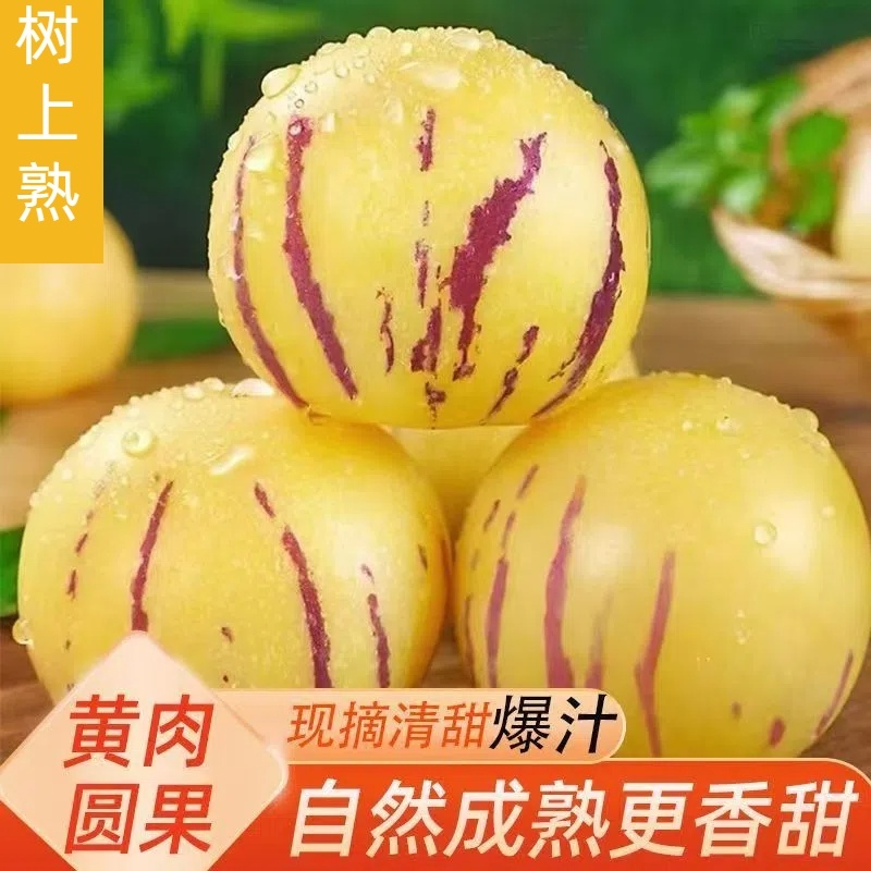 人参果一件代发