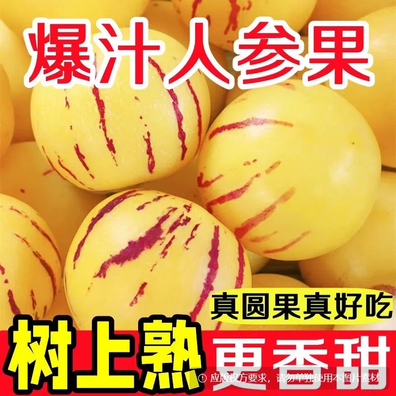 人参果一件代发