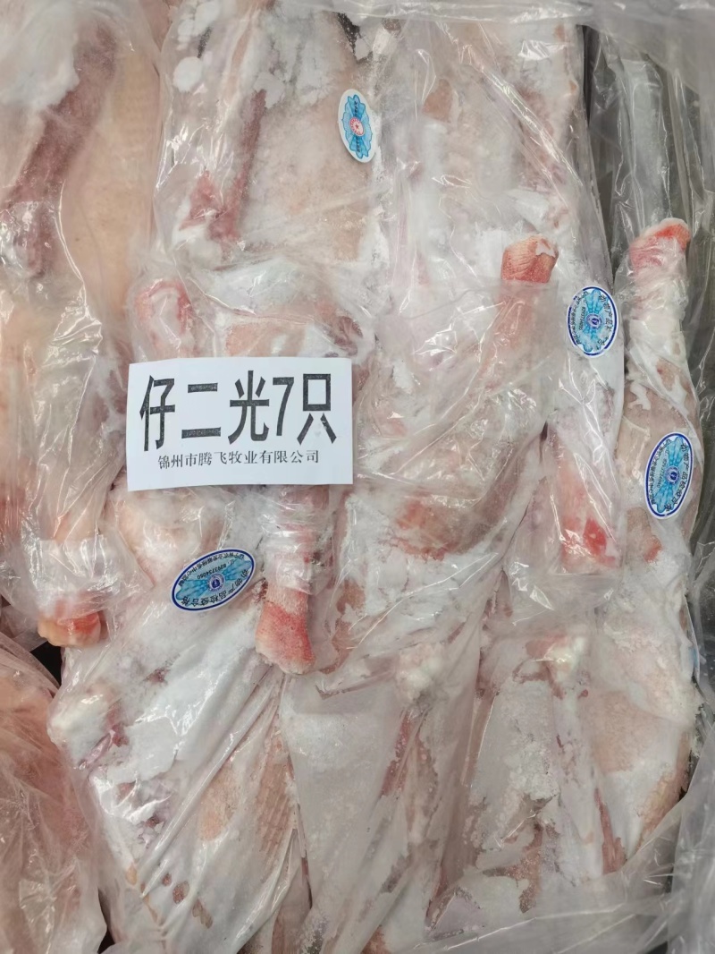 仔鹅二光7只