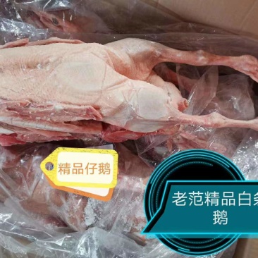 仔鹅去油肺7只