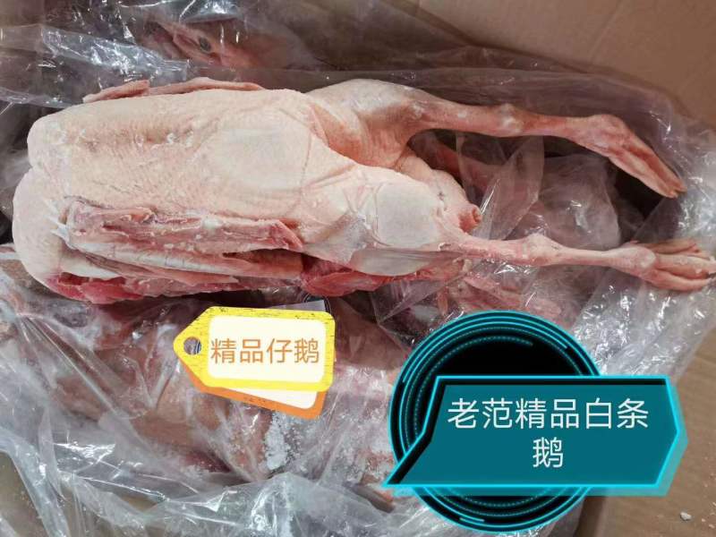 仔鹅去油肺8只