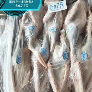 36斤双立仔鹅半膛5只
