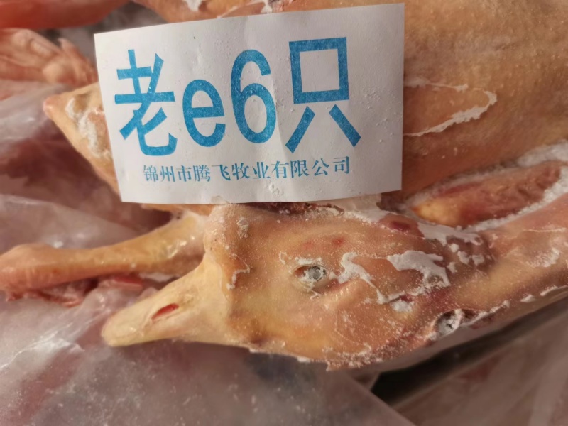36斤双立仔鹅半膛6只