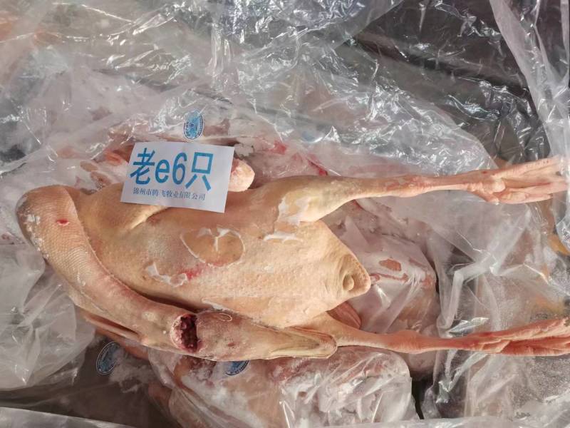 36斤双立仔鹅半膛6只