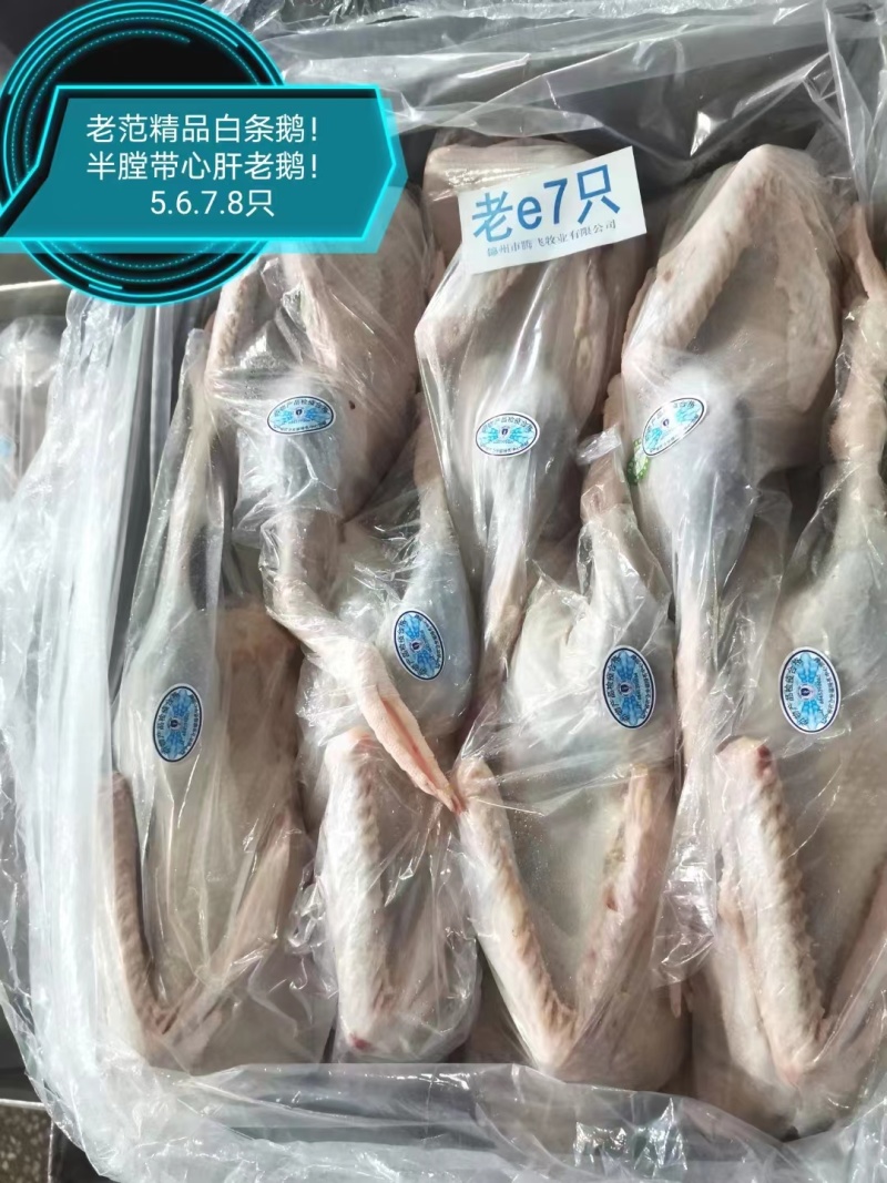 36斤双立仔鹅半膛6只