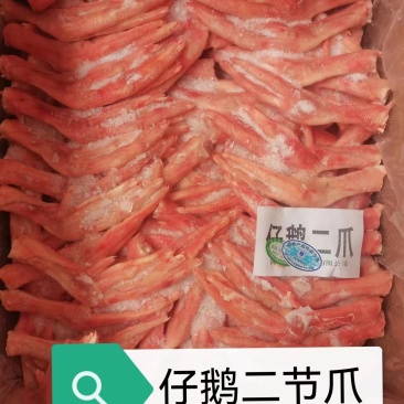 仔鹅二节爪