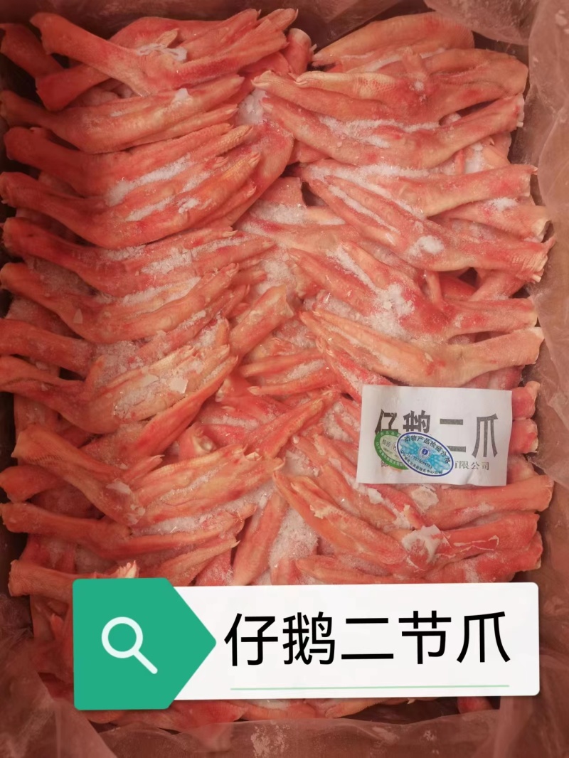 仔鹅二节爪