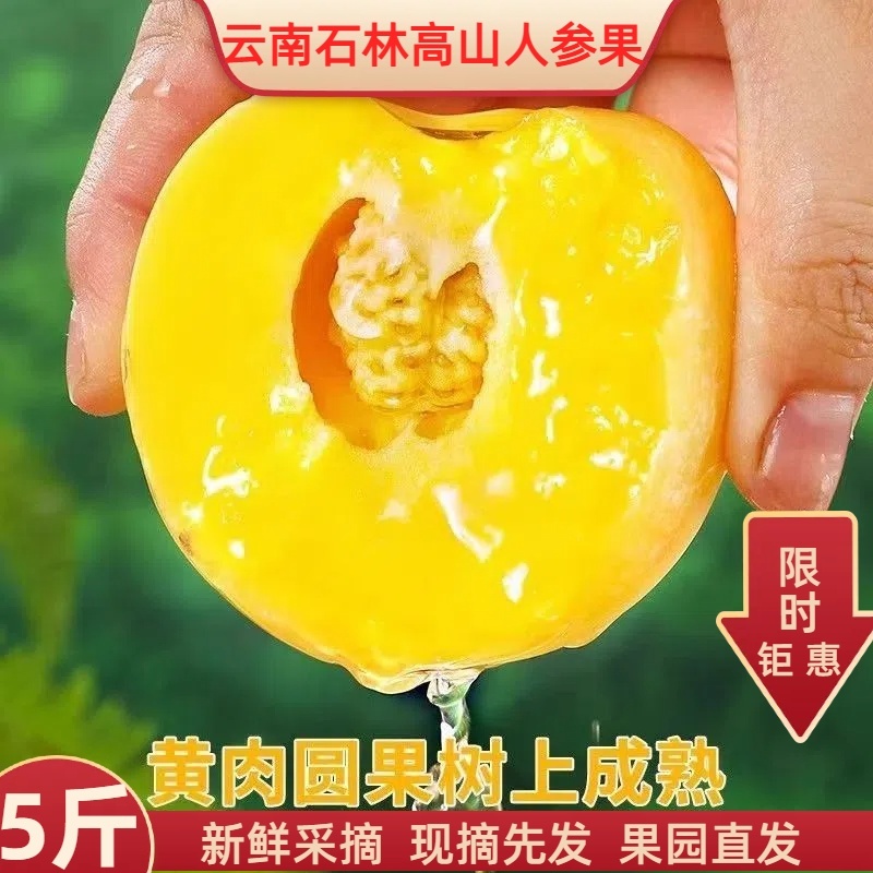 人参果一件代发
