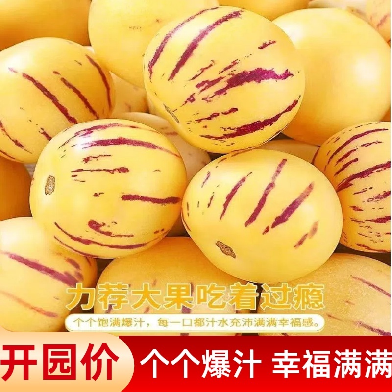 人参果一件代发