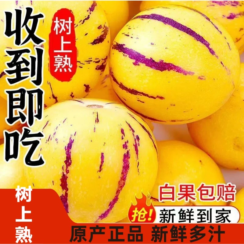 人参果一件代发