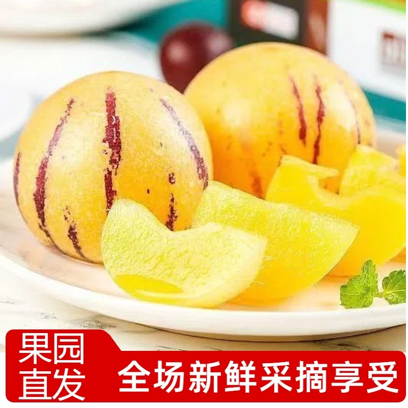 人参果一件代发