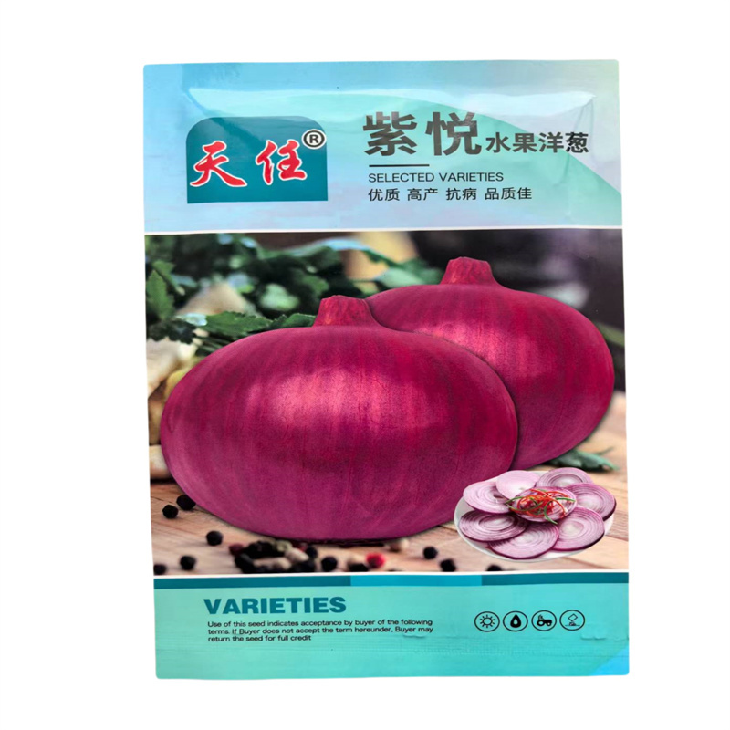 紫悦水果洋葱种子优质抗病早熟紫红高产圆葱种子