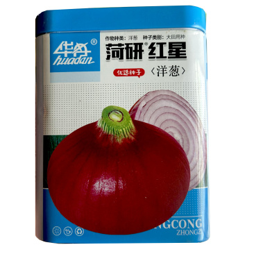 菏研红星洋葱种子100g耐寒圆葱大田红皮洋葱种籽