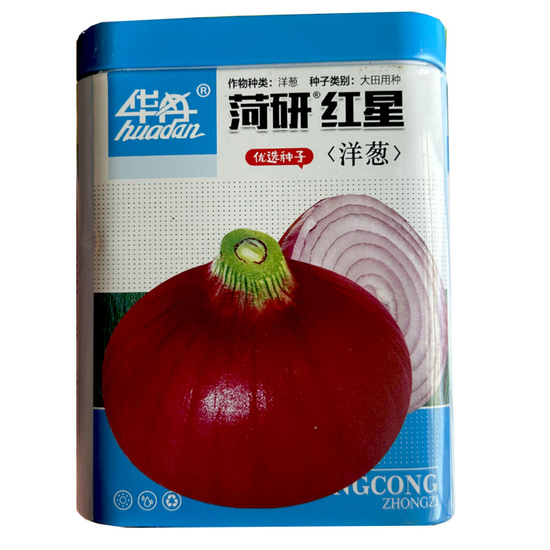 菏研红星洋葱种子100g耐寒圆葱大田红皮洋葱种籽